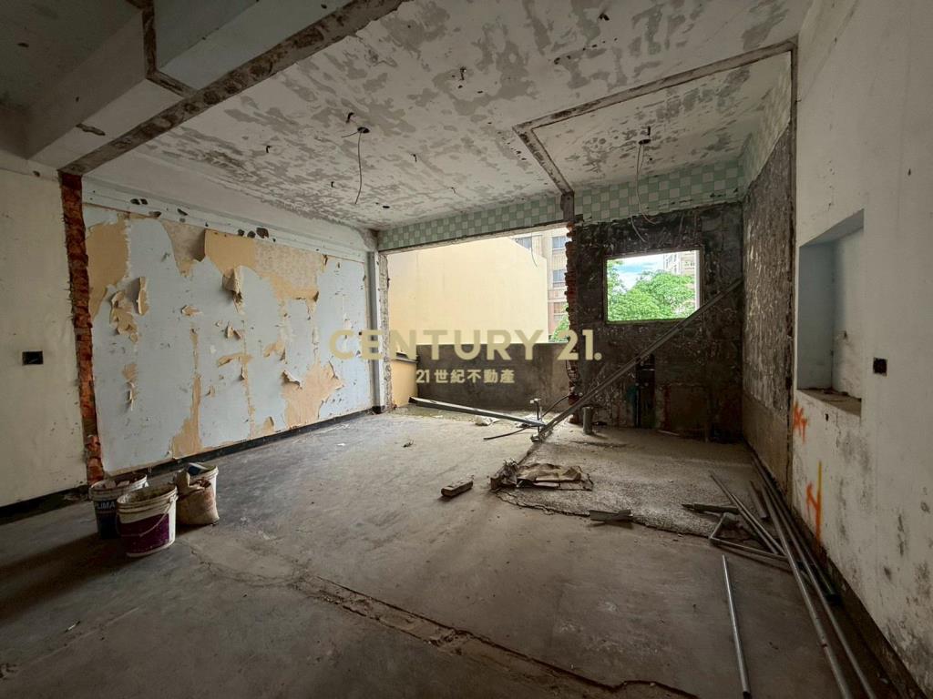 近體育園區大地坪透天