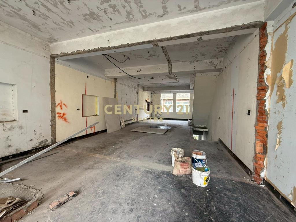 近體育園區大地坪透天