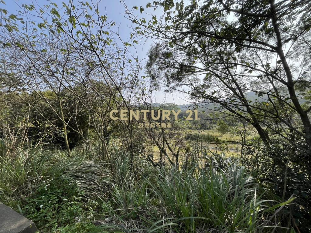 楊梅梅獅路傳家農地