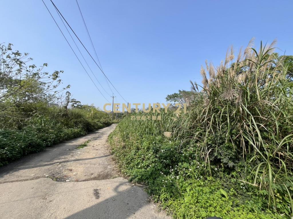 楊梅梅獅路傳家農地