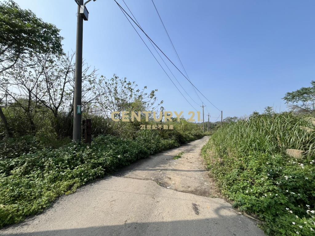 楊梅梅獅路傳家農地