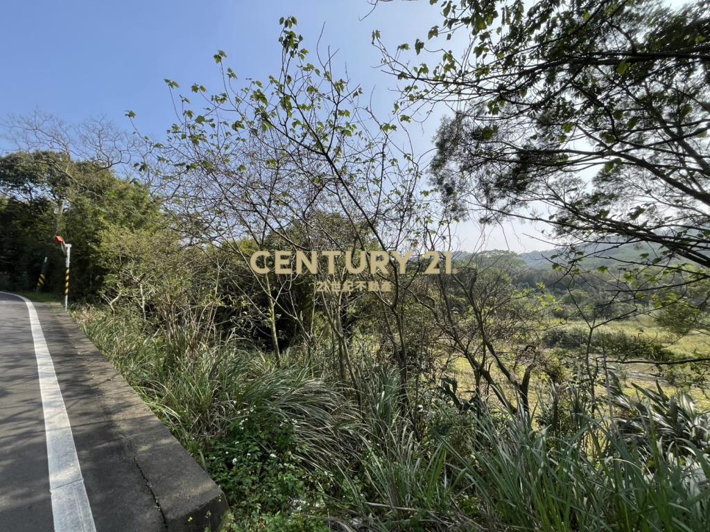 楊梅梅獅路傳家農地