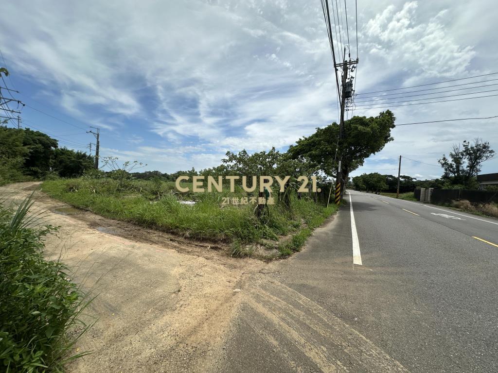 正楊湖路路邊小坪數農地