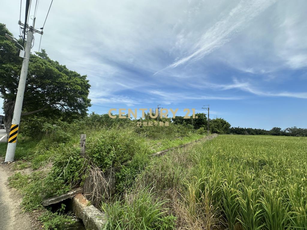 正楊湖路路邊小坪數農地