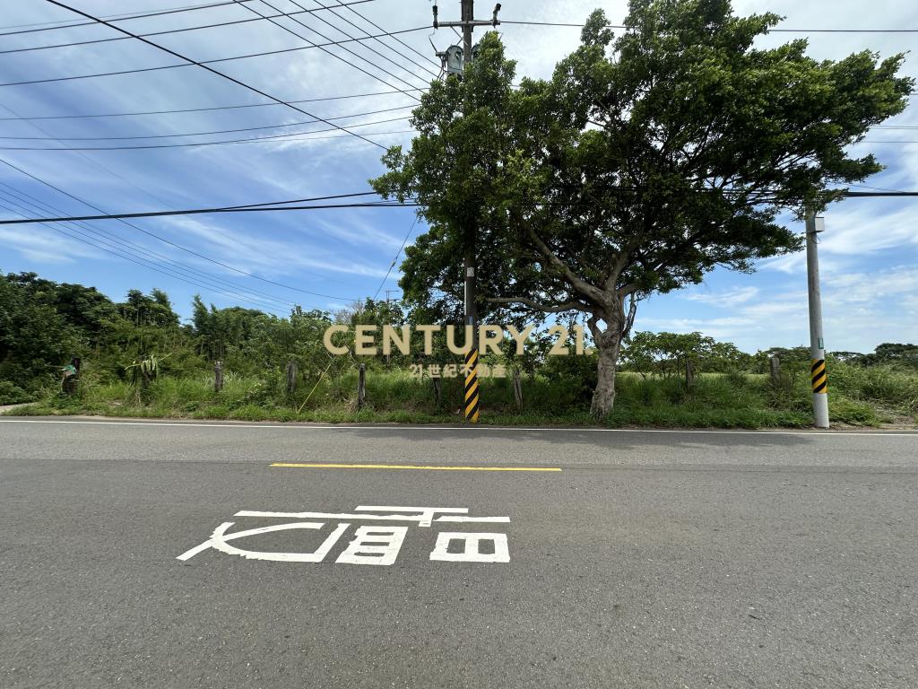 正楊湖路路邊小坪數農地