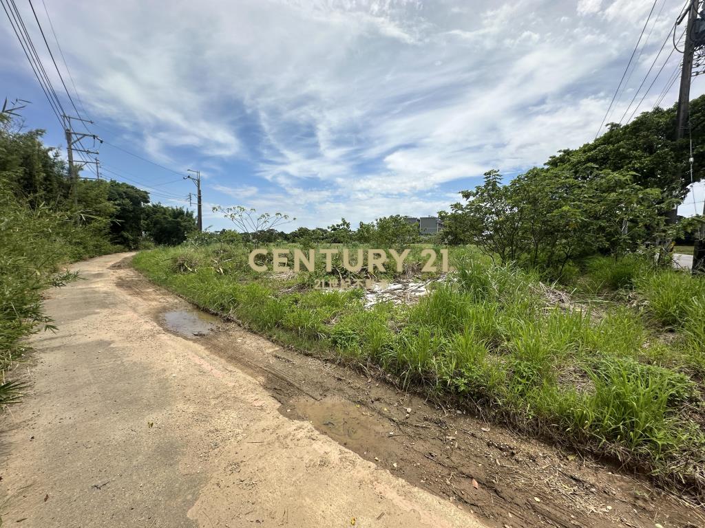 正楊湖路路邊小坪數農地