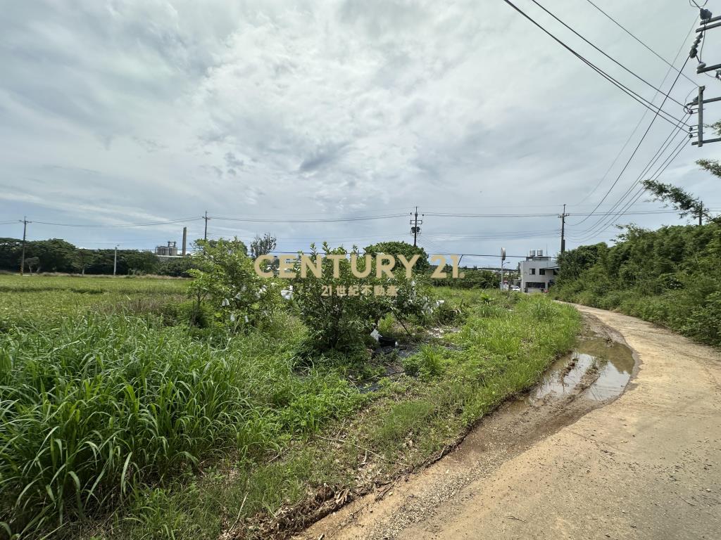 正楊湖路路邊小坪數農地