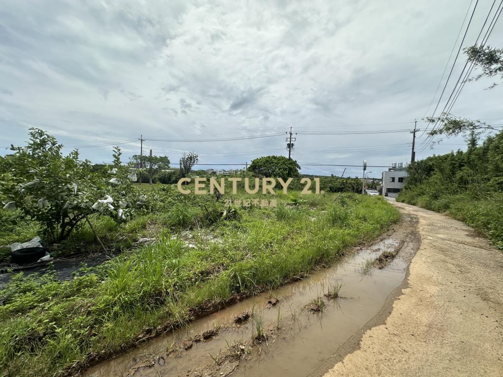 正楊湖路路邊小坪數農地