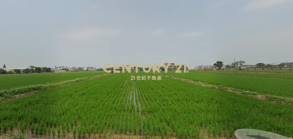 湖口市區美農地