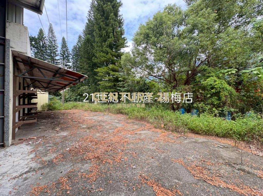 康莊路186坪“多功能”獨棟大透天