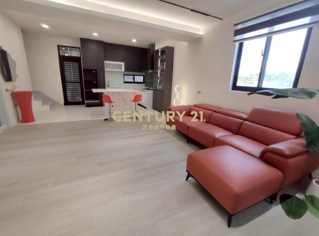 平鎮龍岡商圈整新邊間透天