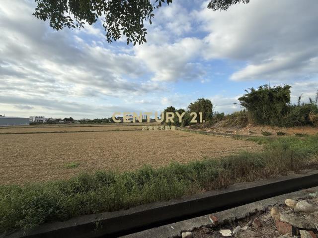 新屋啟文段臨路20米前後有路農地