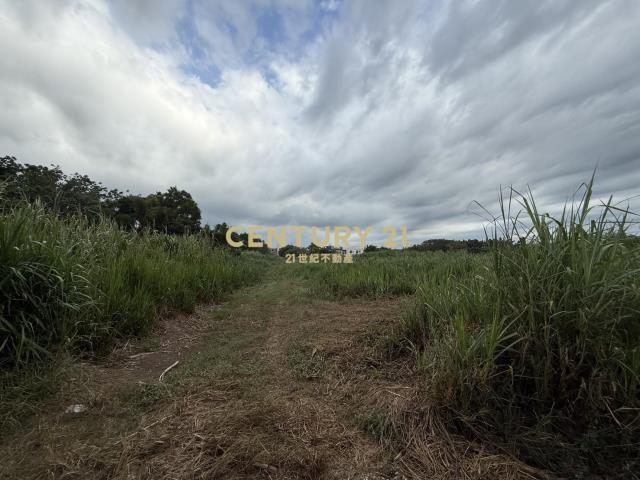 楊梅民有段農地