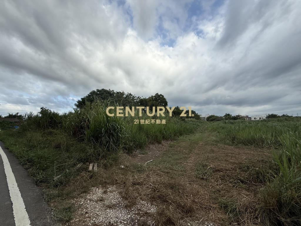 楊梅民有段農地