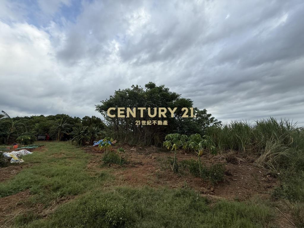 楊梅民有段農地