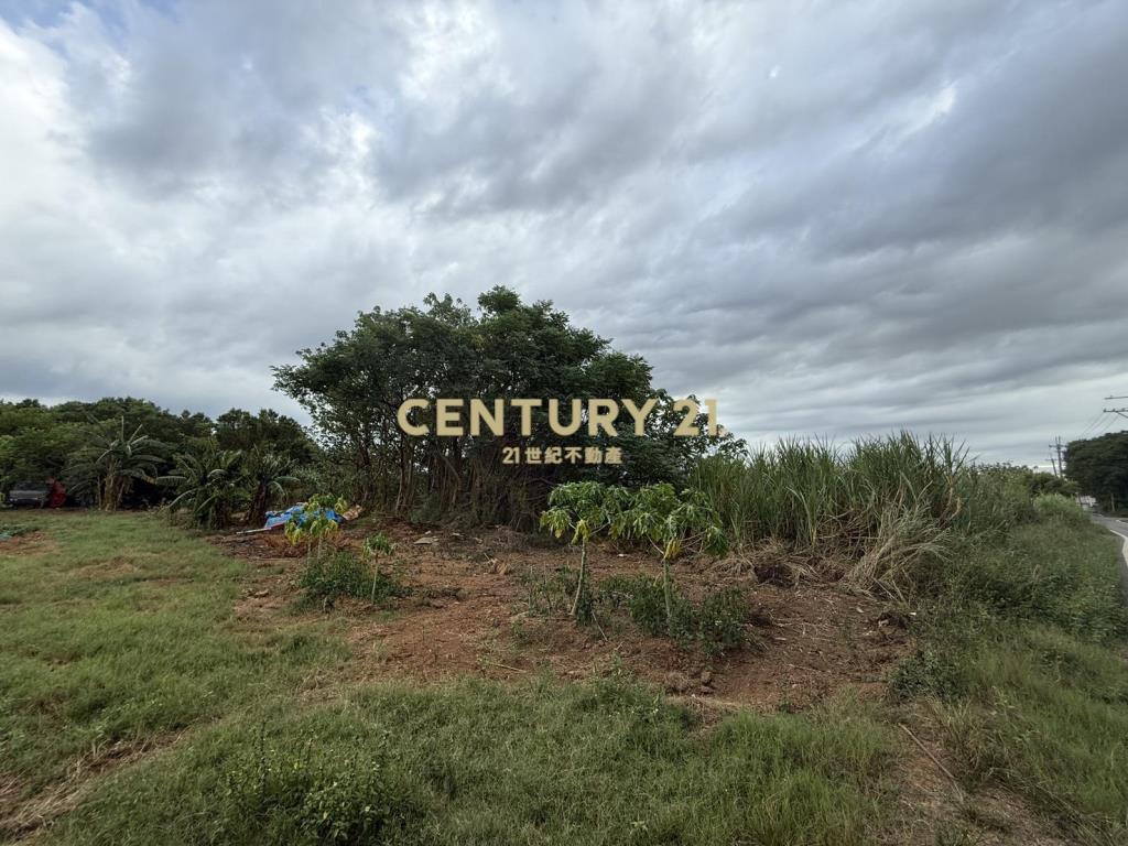 楊梅民有段農地