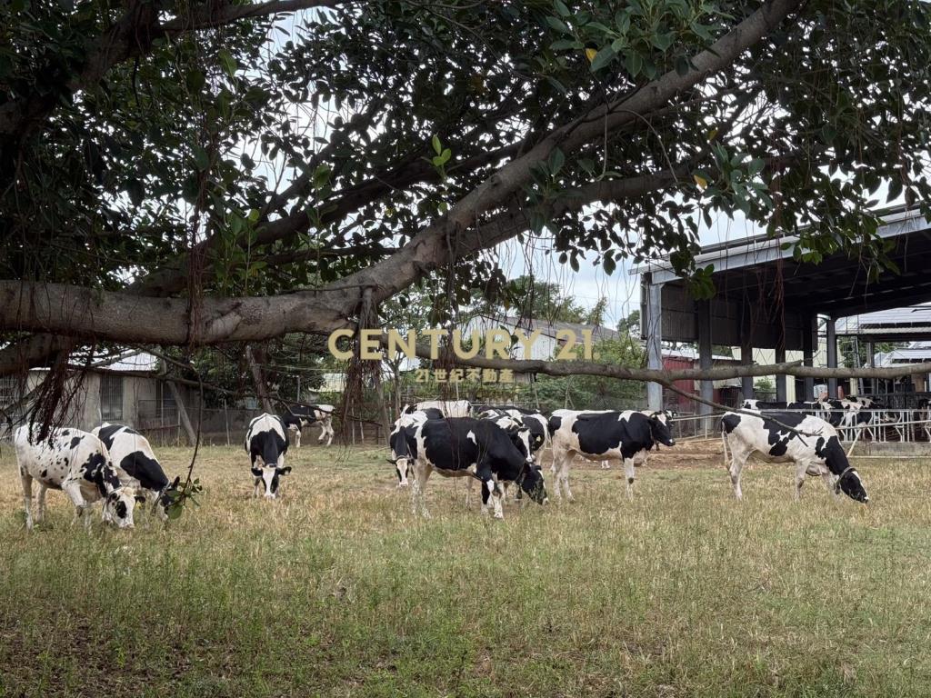 楊梅民有段農地