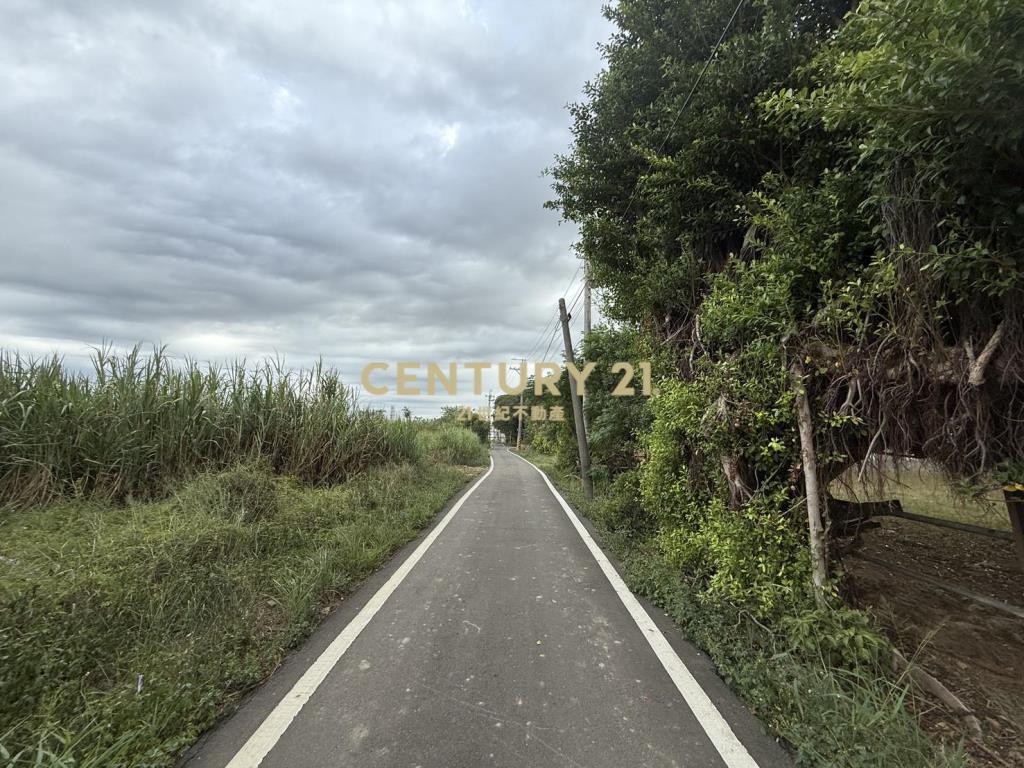 楊梅民有段農地