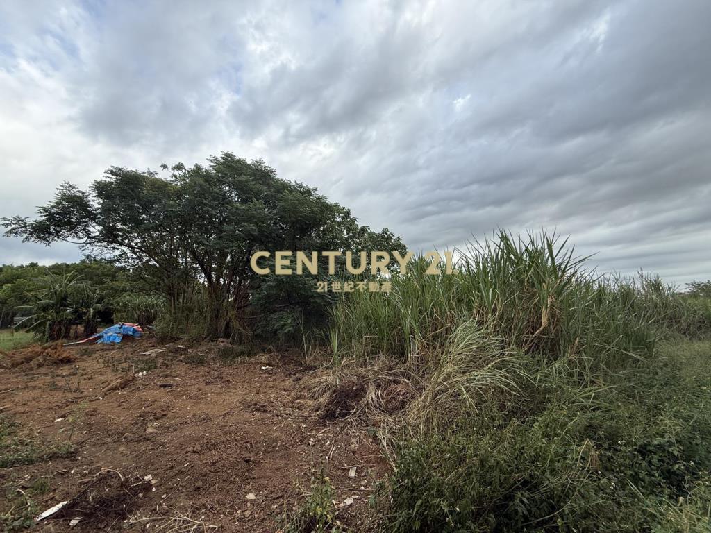 楊梅民有段農地