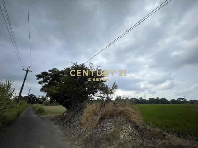 楊梅奉天宮附近農地