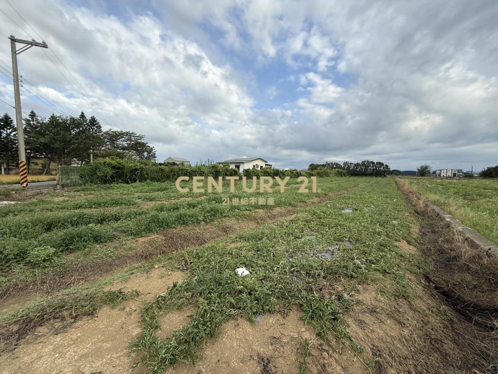 新屋新湖路正路邊雙面臨路農地