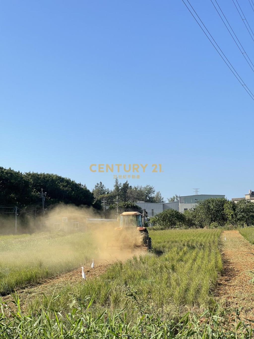 觀音330坪農地+79坪合法倉庫