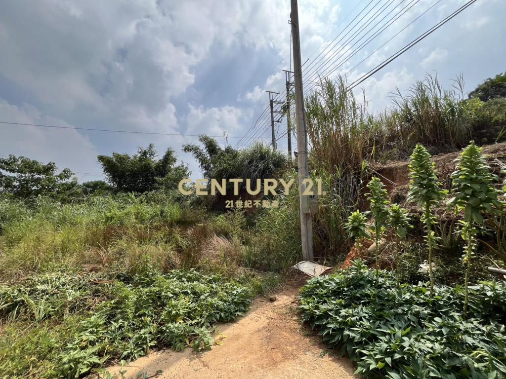 楊梅便宜低總價建地