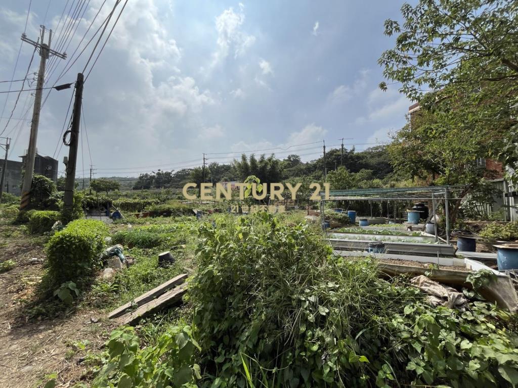 楊梅便宜低總價建地