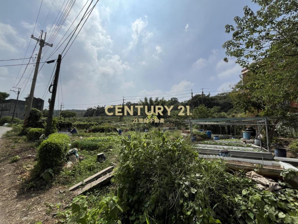 楊梅便宜低總價建地