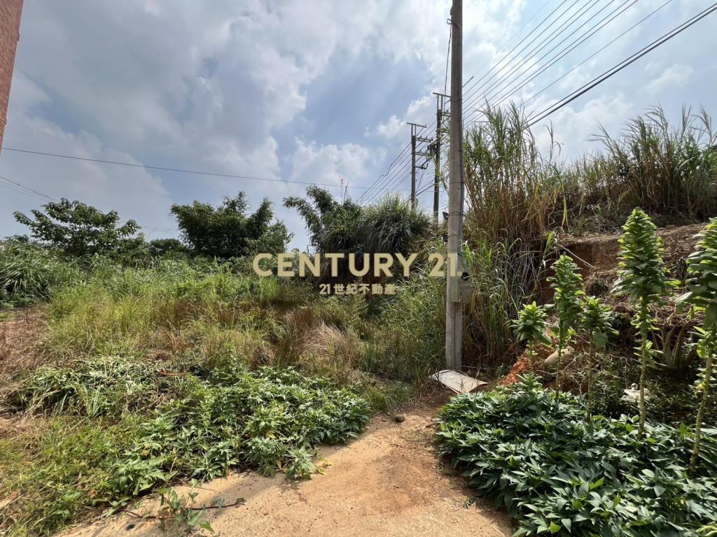 楊梅便宜低總價建地