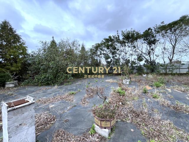 湖口市區便宜都內農(可分割)