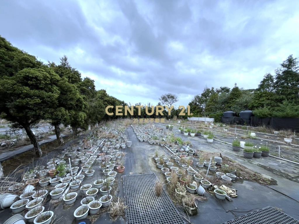 湖口市區便宜都內農(可分割)