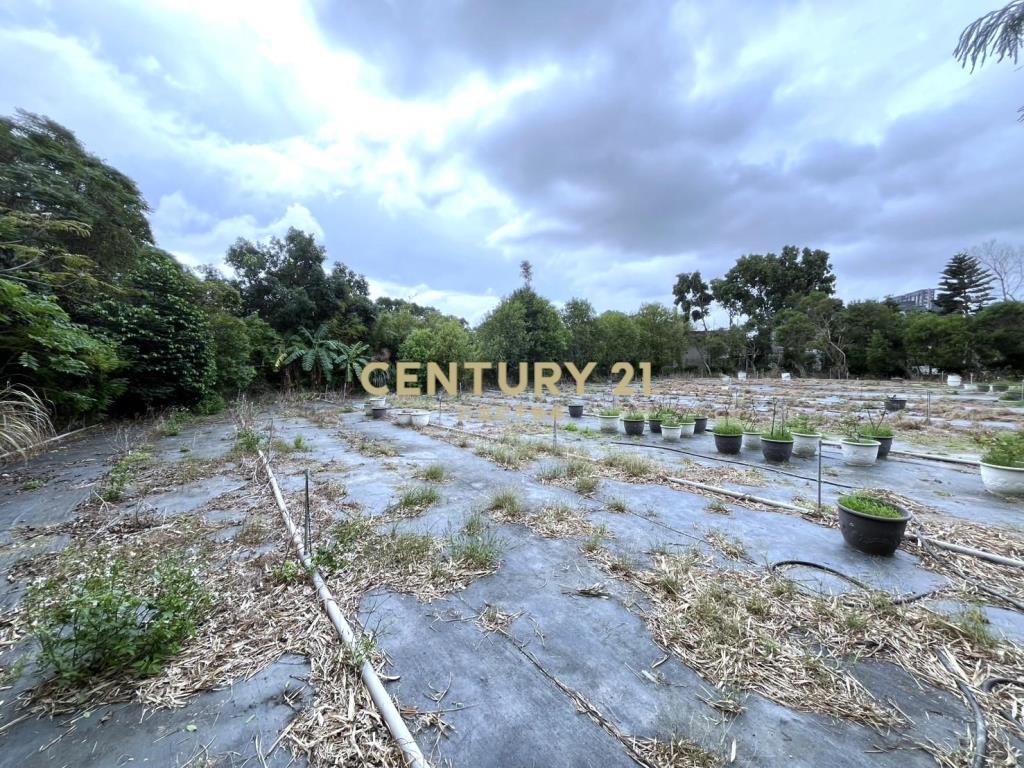 湖口市區便宜都內農(可分割)