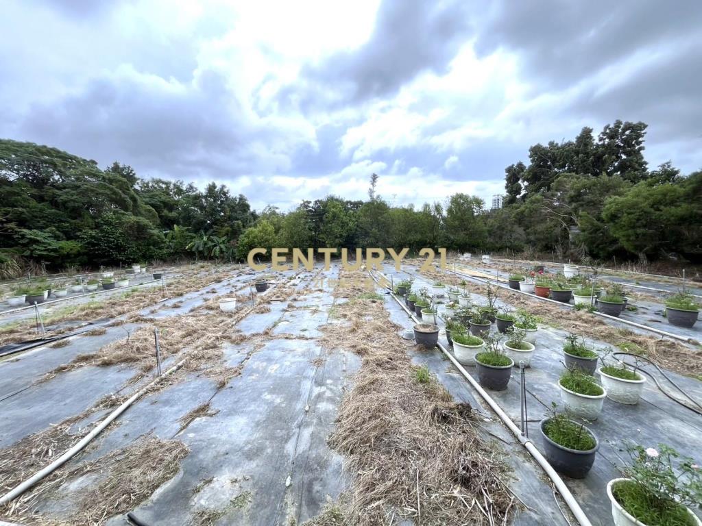 湖口市區便宜都內農(可分割)