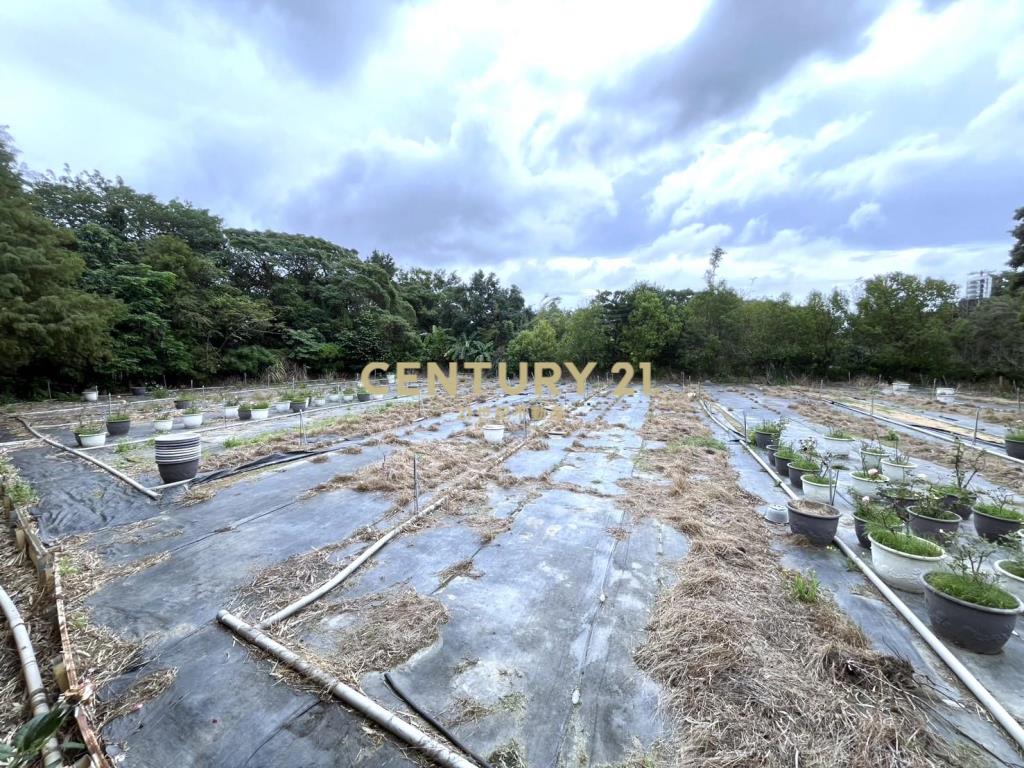 湖口市區便宜都內農(可分割)