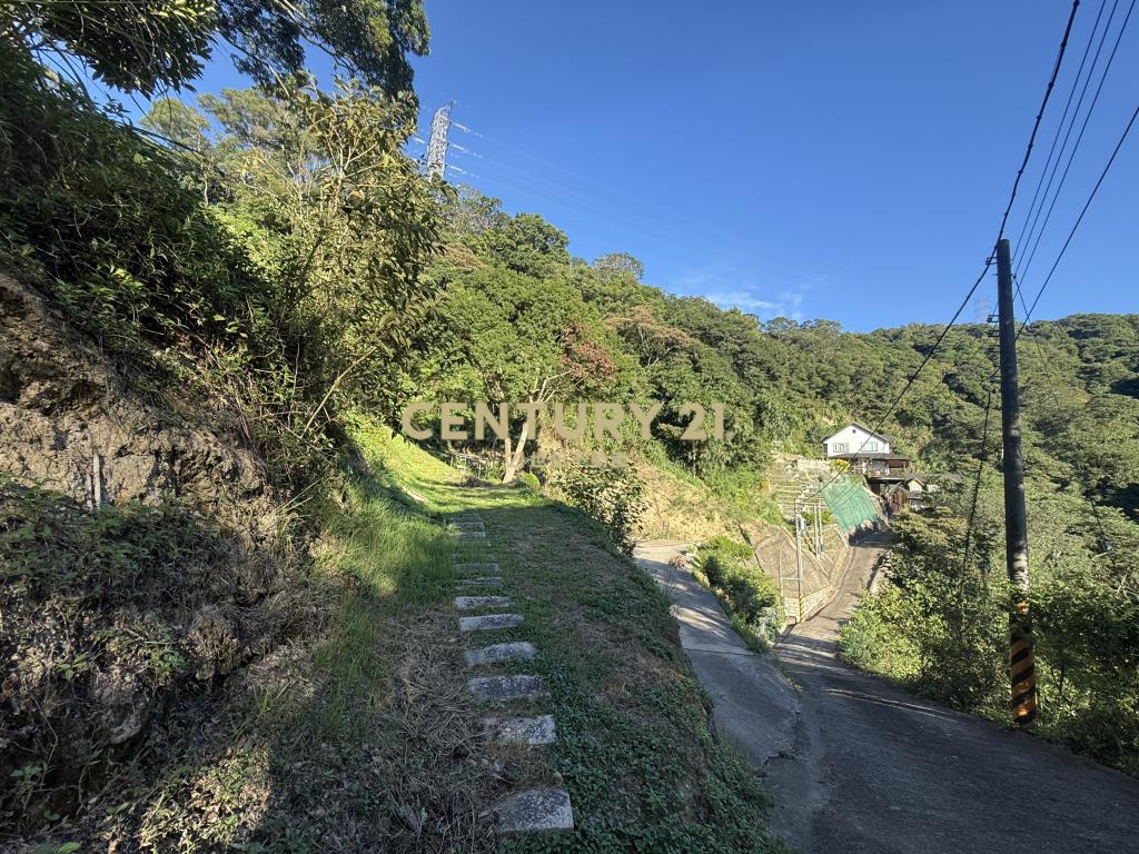 新埔景觀度假林地