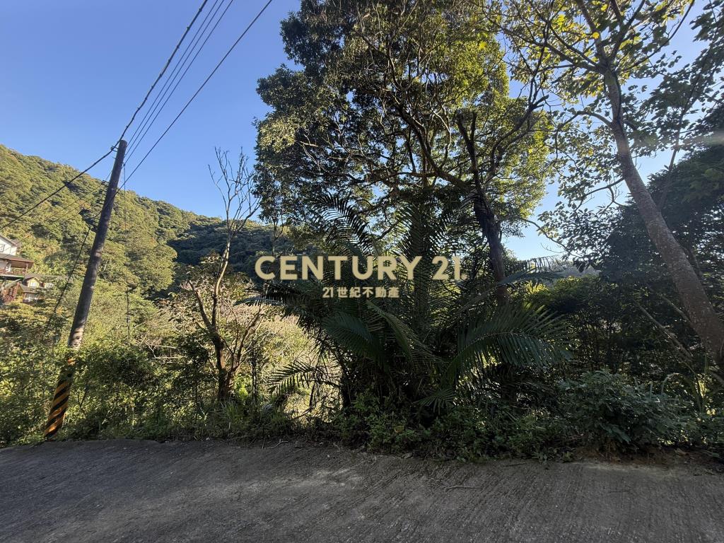 新埔景觀度假林地