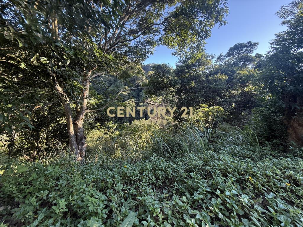 新埔景觀度假林地