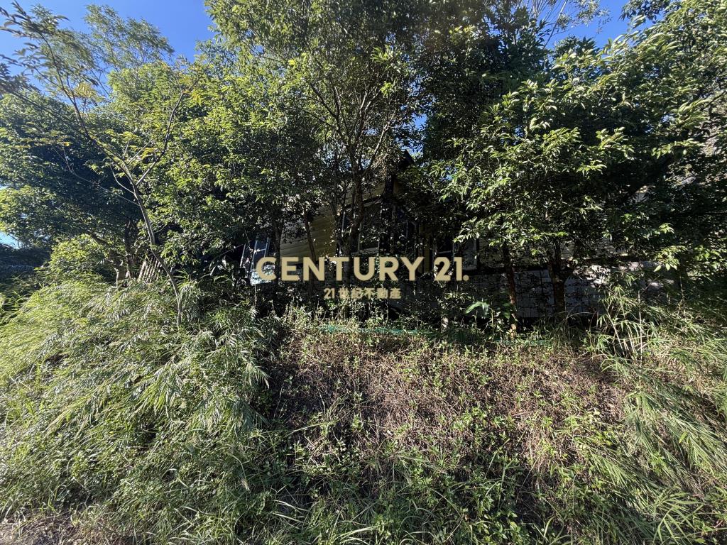 新埔景觀度假林地