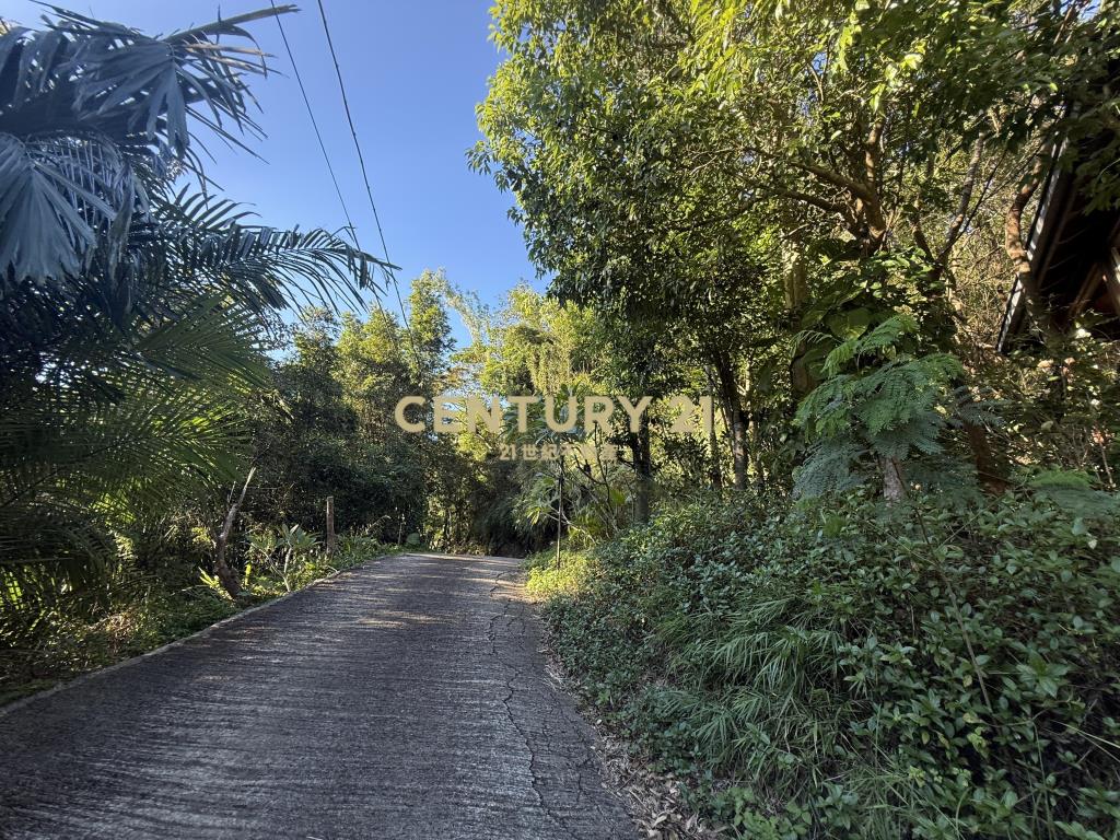 新埔景觀度假林地