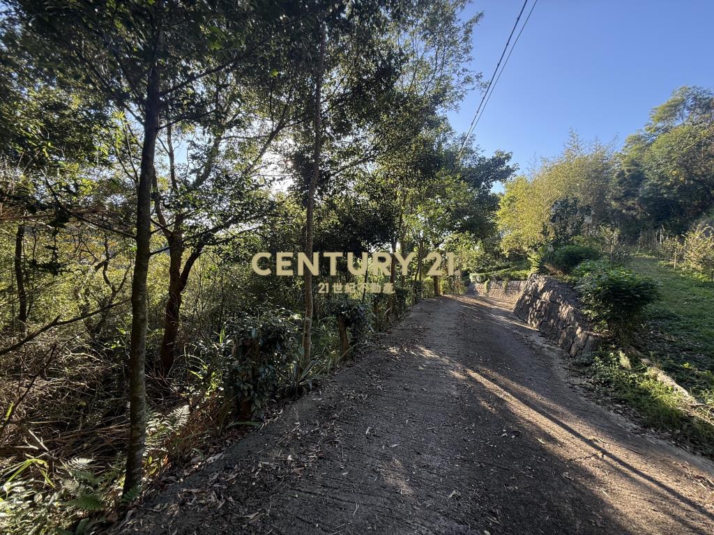 新埔景觀度假林地