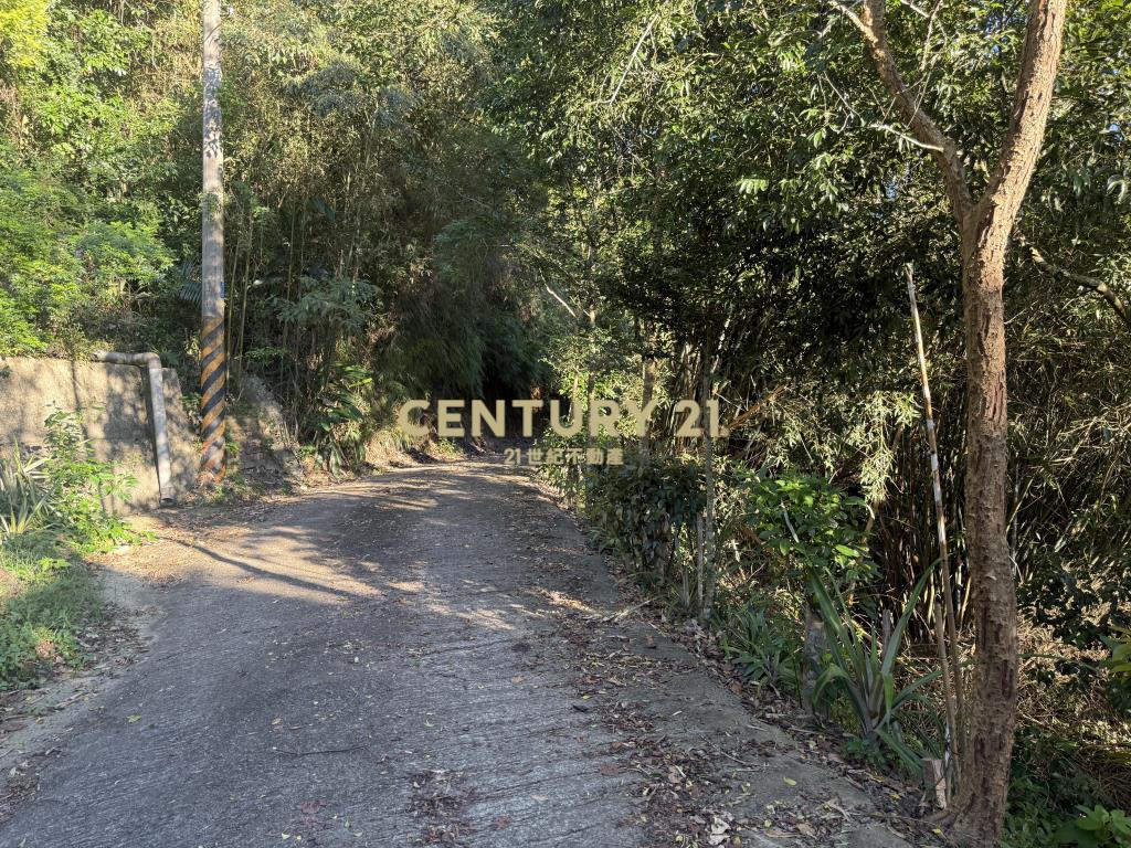 新埔景觀度假林地