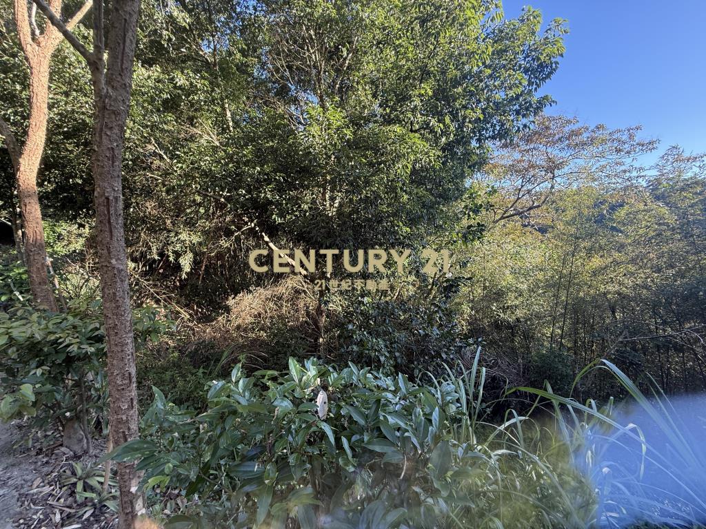 新埔景觀度假林地