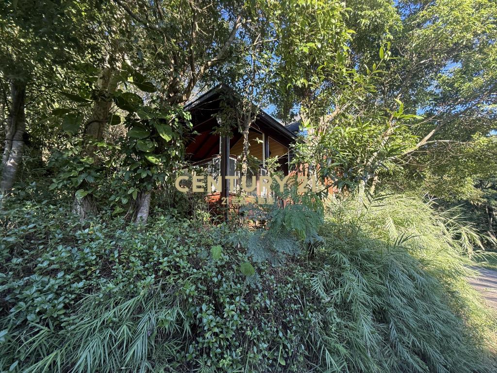 新埔景觀度假低總價林地