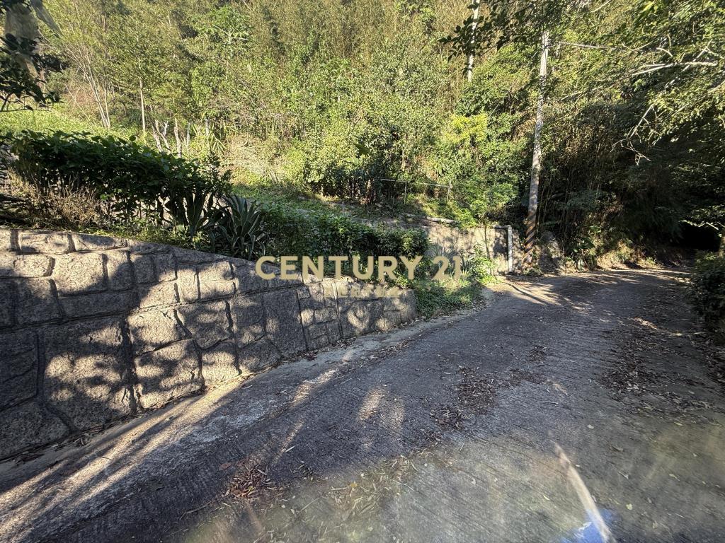 新埔景觀度假低總價林地