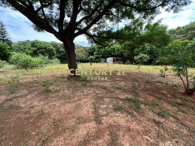 環東都內農816坪