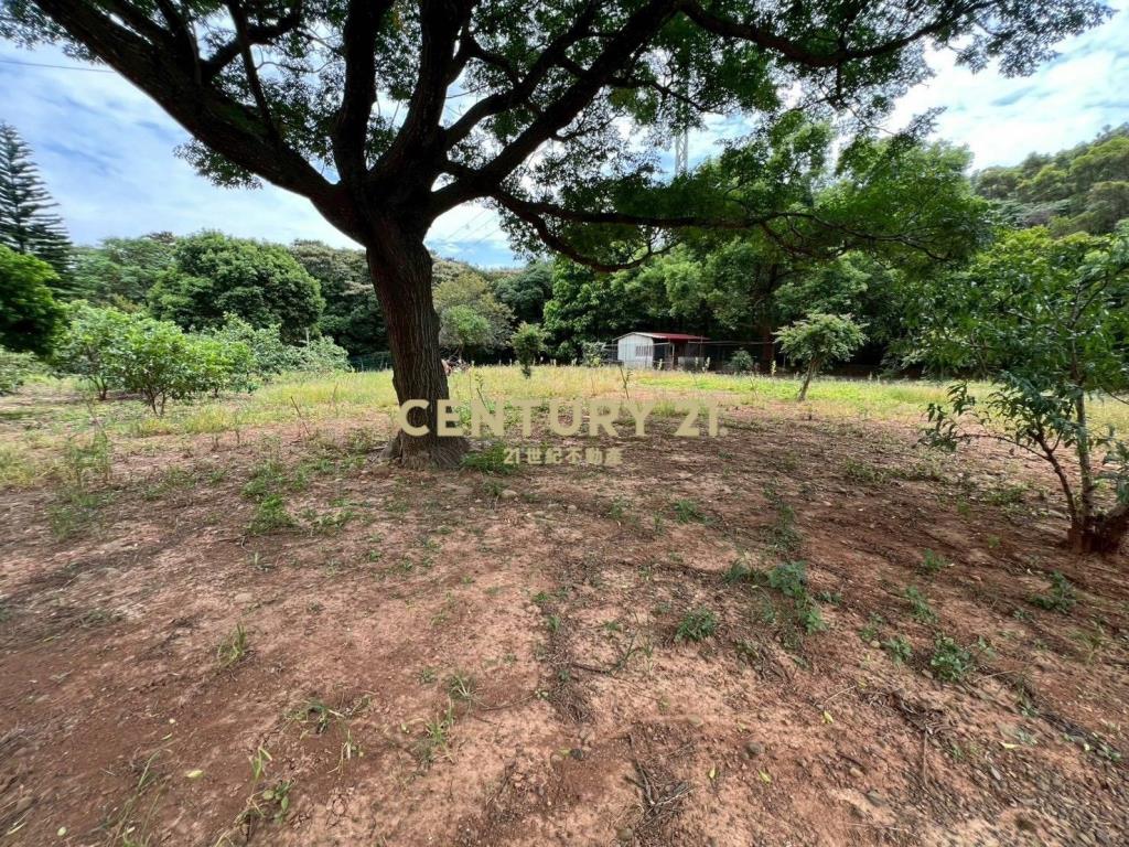 環東路都內農816坪~節稅~出價談