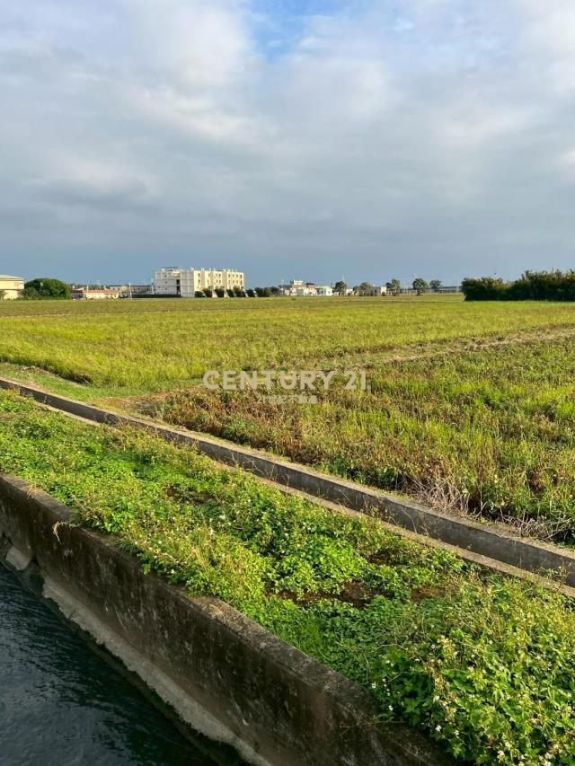 新屋近66快速道路可分售農地