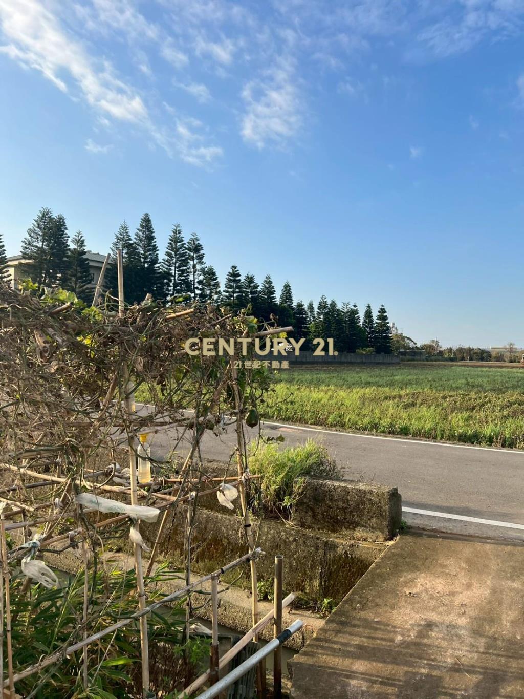 新屋近66快速道路可分售農地