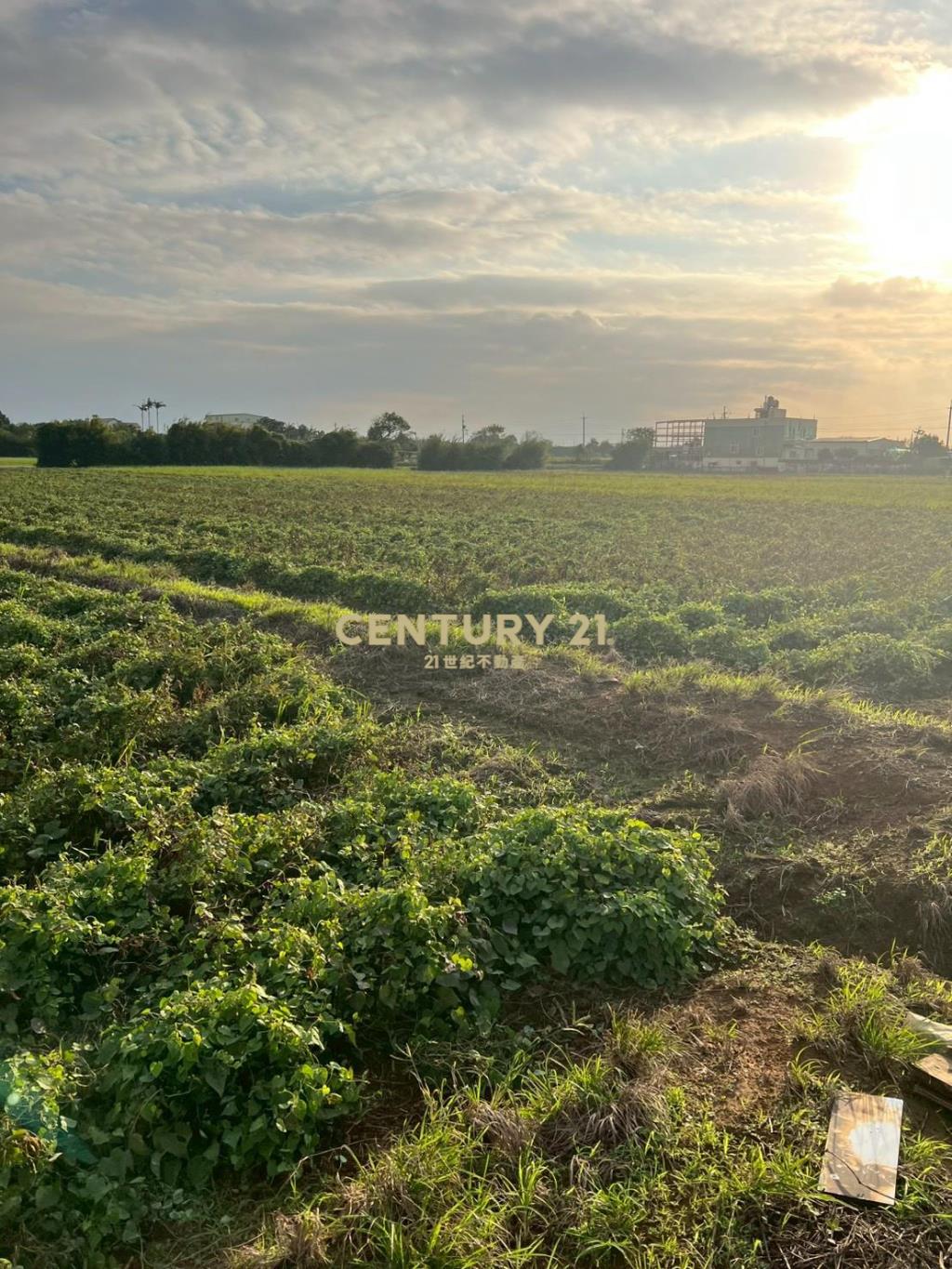 新屋近66快速道路可分售農地